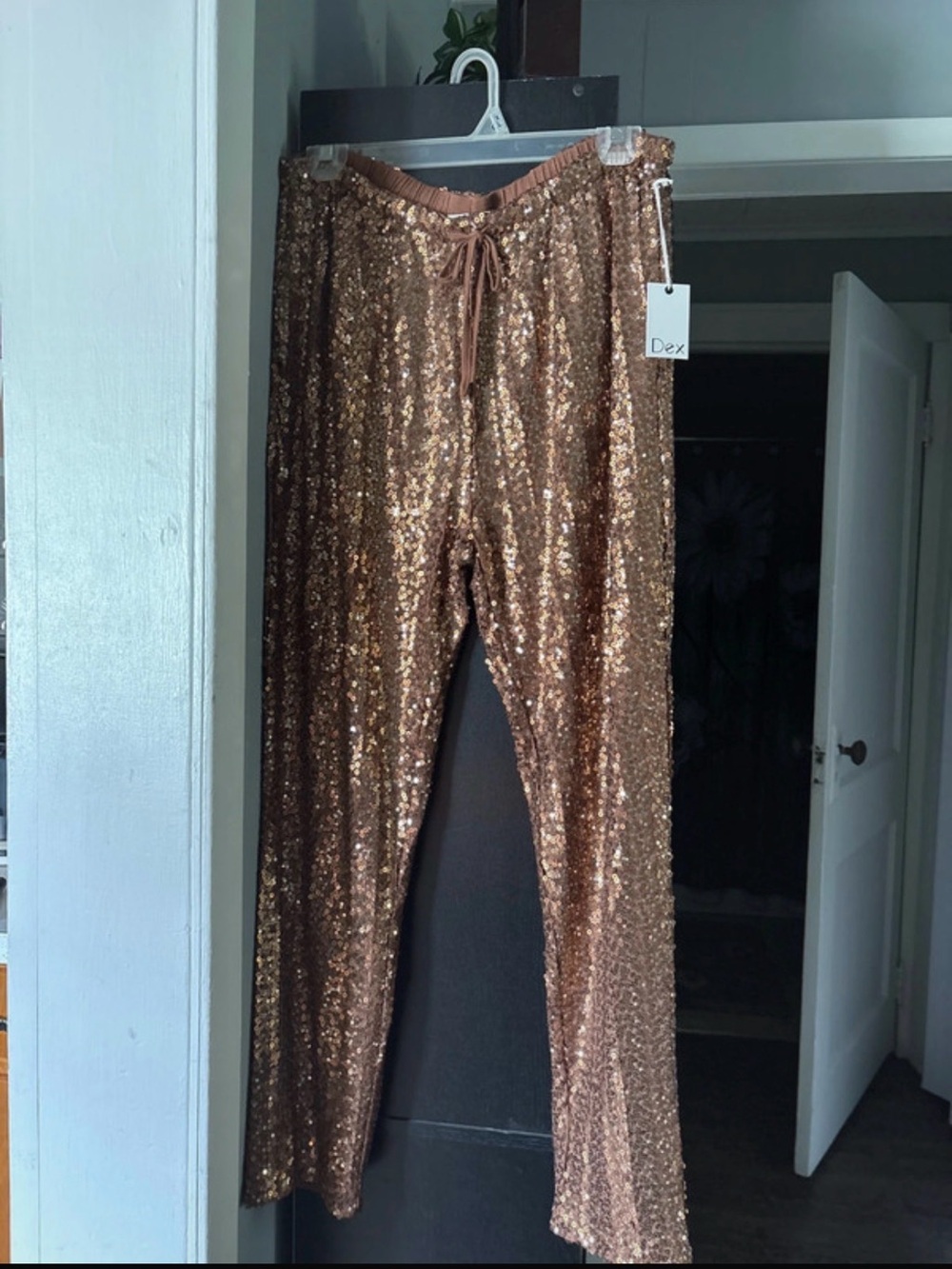 Dex Bronze Sequin Straight-Leg Pull-On Pants